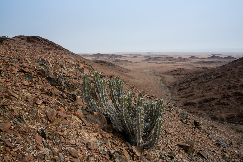 2015_Namibia_5D-1871.jpg