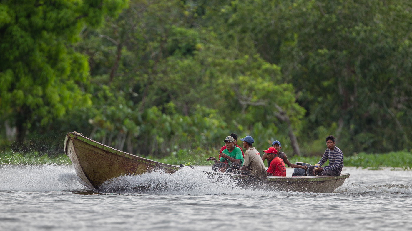 2016_Venezuela_1D-5803.jpg